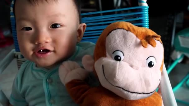 Sorriso Infantil Acompanhado Com Brinquedo Pelúcia Macaco — Vídeo de Stock