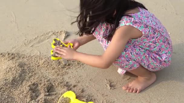 Mały Dzieciak Używa Łopaty Wykopać Piasek Pleśń Kraba Narzędzia Plaży — Wideo stockowe