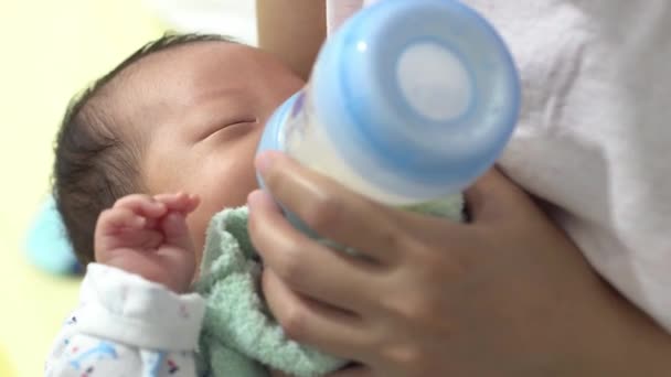 Επιλέξτε Εστίαση Λίγο Μωρό Γάλα Ποτό Ζωοτροφών Από Μητέρα — Αρχείο Βίντεο