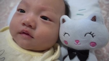 Çinli bebek, mavi kedi yumuşak oyuncağının yanında yatıyor.
