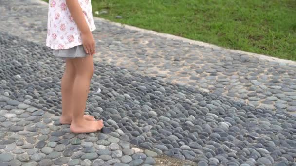 小さな子供は公園のマッサージ小石で歩く — ストック動画