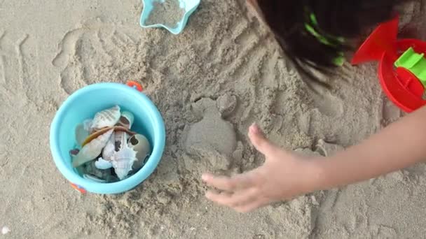 Top View Little Kid Play Sand Beach — Stock video