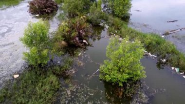 Bataklıktaki suyun hava manzaralı çevre kirliliği