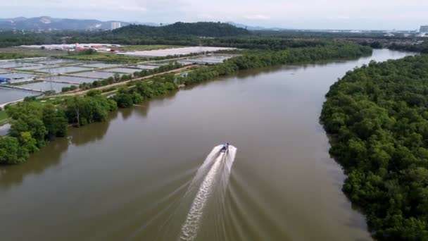 Flygfiske Båt Flytta Sungai Jawi Nära Mangrove Skog Och Räkor — Stockvideo