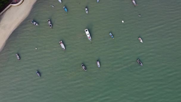 Вид Воздуха Парк Рыбацких Лодок Берегу Моря — стоковое видео