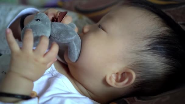 小男孩咀嚼灰熊毛绒玩具 — 图库视频影像