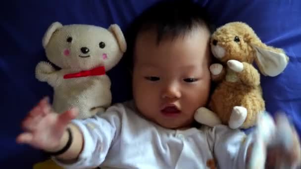 Dziecko Niedźwiedziem Pluszową Zabawką Królika Grać Łóżku — Wideo stockowe