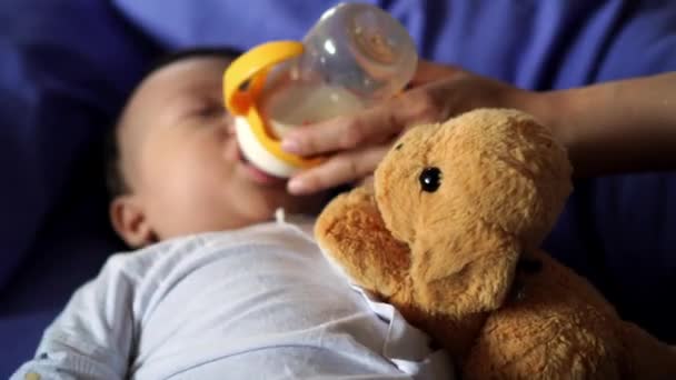 Madre Utilizar Mano Alimentar Bebé Con Leche Juguete Felpa Para — Vídeo de stock