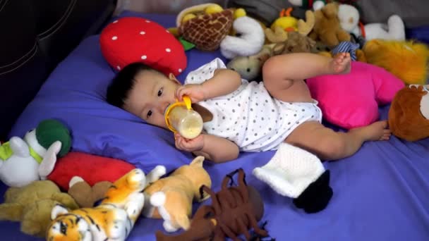 Mały Chłopiec Pić Mleko Łóżku Towarzyszy Stos Pluszowej Zabawki — Wideo stockowe