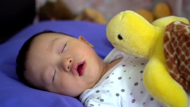 Menino Dormir Com Acompanhado Brinquedo Tartaruga — Vídeo de Stock