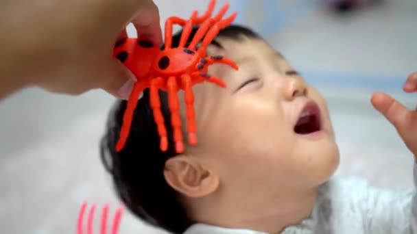 Pov视图父亲与男婴手牵着红蜘蛛玩具玩耍 — 图库视频影像