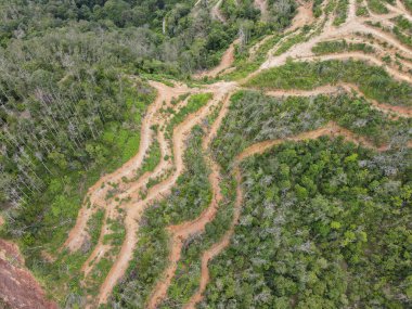 Gökyüzü manzarası tepedeki orman arazisine bakıyor.
