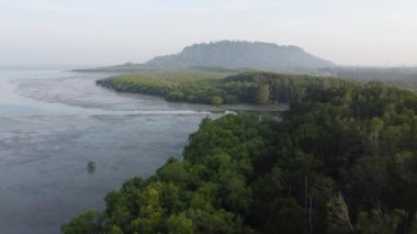 Sabah havadan deniz manzaralı mangrov ağacıyla kaplı kıyı.