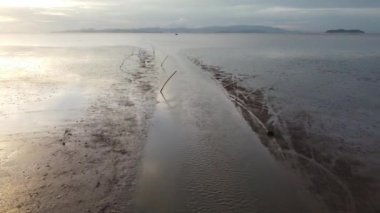 Gün batımında Mangrove sahil şeridinde çamurlu bir tekne yolunun üzerinden uç.