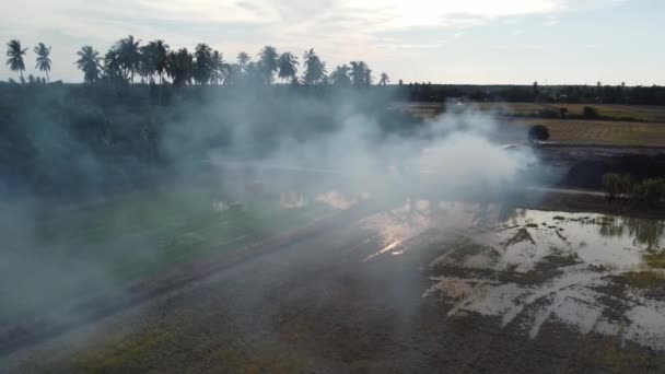 Liberación Humo Vista Aérea Debido Quema Abierta Arrozal — Vídeo de stock