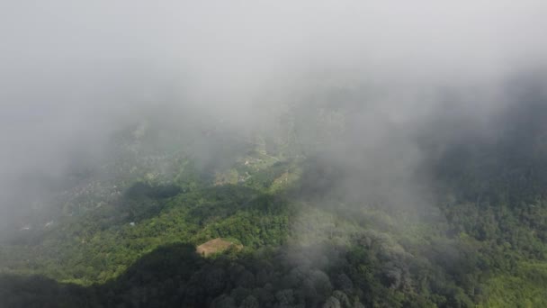 Vuelo Aéreo Sobre Nubes Bajas Cerca Del Bosque Balik Pulau — Vídeos de Stock