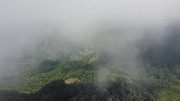 Flyg Över Lågt Moln Nära Skogen Balik Pulau — Stockvideo