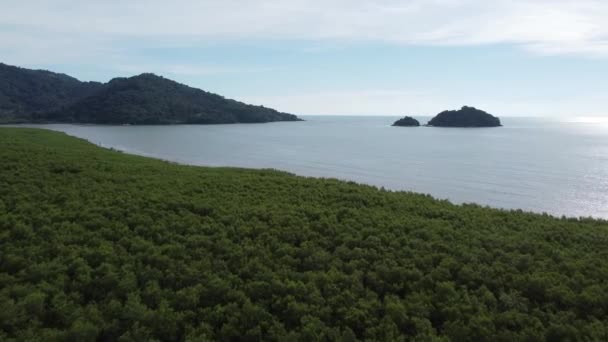 Flyg Över Mangroveskogen Mot Pulau Betong Balik Pulau Solig Dag — Stockvideo