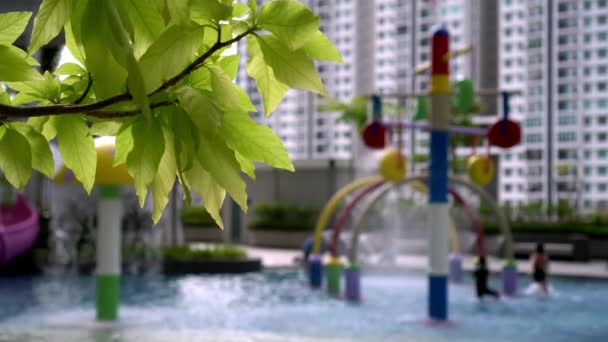 Selecteer Focus Groene Bladeren Het Water Speeltuin Van Condominium Outdoor — Stockvideo