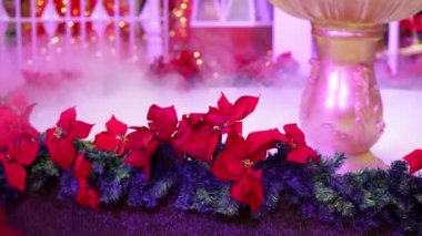 Kırmızı Poinsettia çiçeği ve fıskiyenin dibinden yayılan sis. Kapalı mimari dekorasyonu