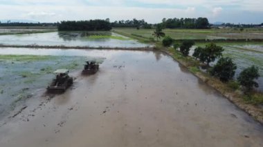 Malezya 'da aynı yöne giden iki traktör tarlayı sürüyor.