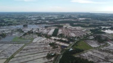 Su mevsiminde hava manzaralı çeltik tarlası