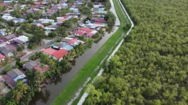 Sungai Chenaam, Penang 'daki Mangrov ağacının yakınındaki Malay köyü.