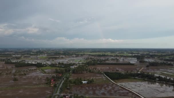 Luftaufnahme Torfmoor Reisfeld Mit Regenbogen Hintergrund — Stockvideo