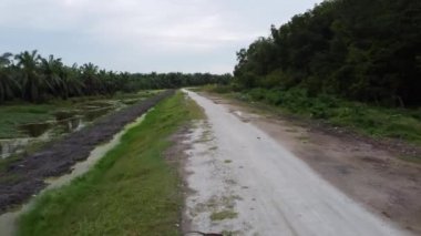 Kırsal yoldan git ve maymun üzerinden geç..