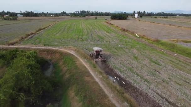 Sungai Udang Penang Malaysia Februari 2021 Traktor Bergerak Melintasi Sawah — Stok Video