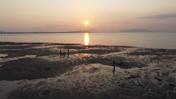 Georgetown Penang Malaysia Apr 2021 Siluet Udara Orang Menggali Kerang — Stok Video