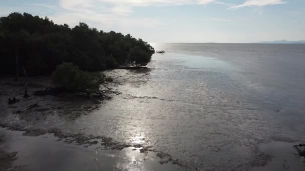 Silueta Mueven Sobre Pantano Fangoso Cerca Bosque Manglares — Vídeos de Stock