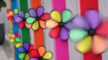 Gökkuşağı çiçekli fırıldak yeldeğirmeni pervanesi açık havada dönüyor