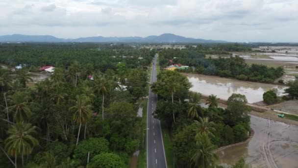 Aerial Zielona Sceneria Droga Plantacji Malezji — Wideo stockowe