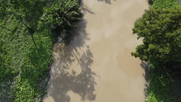 Αεροφωτογραφία Κοίτα Κάτω Σκιά Δέντρο Κοντά Στο Ποτάμι — Αρχείο Βίντεο