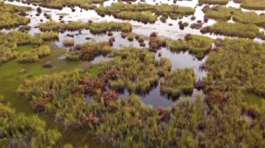 Akşam günbatımında bataklıkta hava harekatı