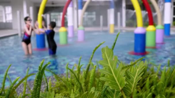 Селективный Фокус Зеленого Растения Рядом Детской Водной Игровой Площадкой Размытость — стоковое видео