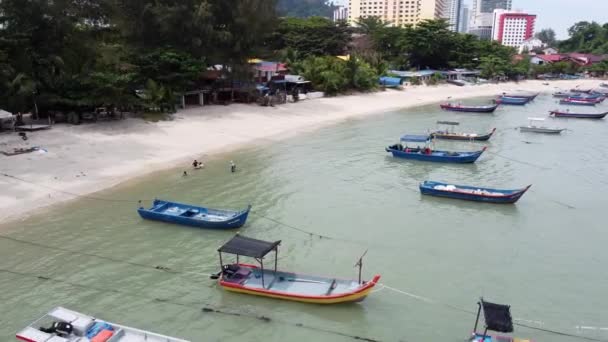 Vista Aérea Miembros Familia Juegan Agua Cerca Playa Mar Del — Vídeos de Stock