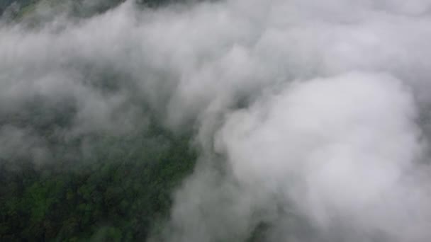 Vista Aérea Mirar Hacia Abajo Blanco Mañana Nube Brumosa Movimiento — Vídeo de stock