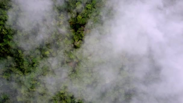 Vista Aerea Dall Alto Verso Basso Del Flusso Mattutino Nuvole — Video Stock