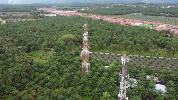 Vista Aérea Torre Telecomunicaciones Escena Rural Plantación — Vídeo de stock