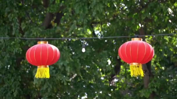 Rote Chinesische Neujahrslaterne Neben Baum — Stockvideo