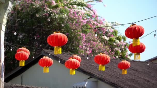 Rode Chinese Nieuwjaar Lantaarn Decoratie Buurt Van Bloemenstruik — Stockvideo