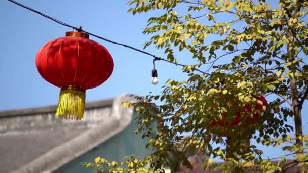 Rote Orientalische Laterne Neben Einem Baum Blauem Himmel Tag — Stockvideo