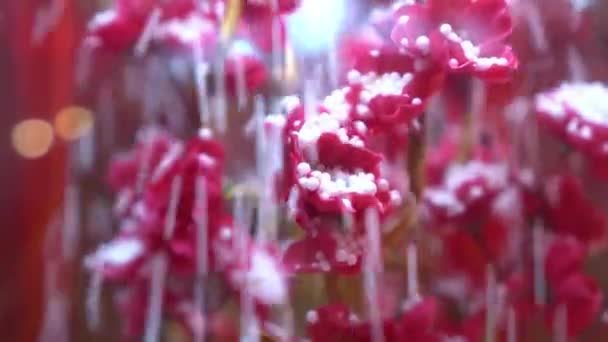 Kunstmatige Sneeuw Vallen Nep Rode Bloesem Bloem — Stockvideo