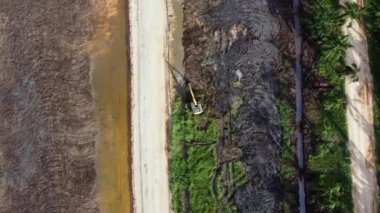 Havadan aşağı görünüm kazıcı geliştirmek için yağ palmiyesini kaldırır