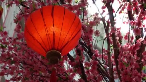 お祝い中国の新年の間に飾られた赤い提灯のグループの上を歩く — ストック動画