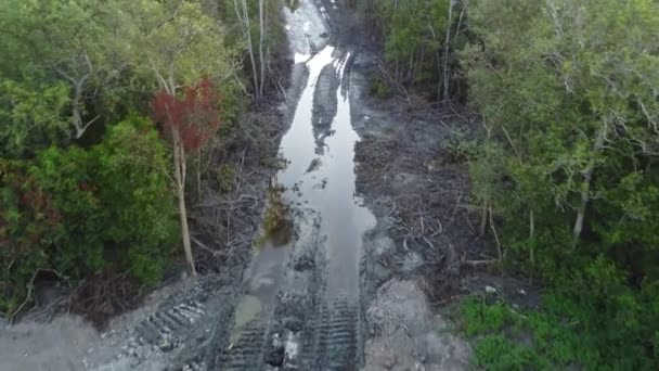 Camino Neumático Excavadora Vista Superior Hacia Abajo Bosque Manglares Talado — Vídeos de Stock