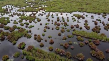 Suyun üzerinde gökyüzünün yansımasıyla uçan hava sulak arazisi