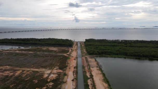 Aerial View Sewage Sea Mangrove Tree — Stock Video